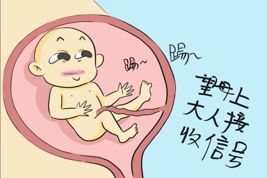 数胎动 第2张-备孕-孕期检查-孕产妇食谱-胎教育儿