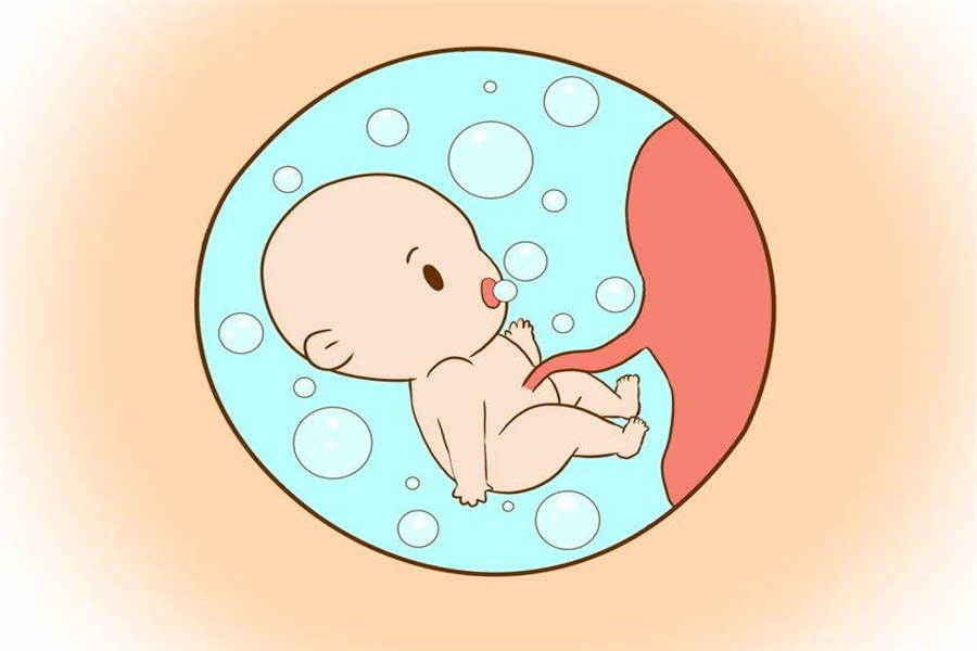 胎儿体重计算 第2张-备孕-孕期检查-孕产妇食谱-胎教育儿