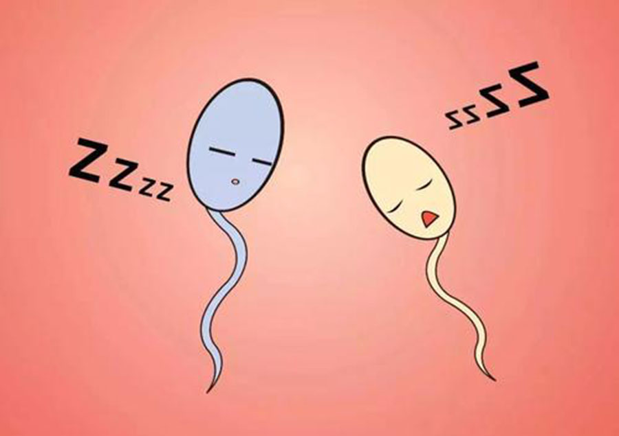 备孕二胎需要注意什么 第4张-备孕-孕期检查-孕产妇食谱-胎教育儿