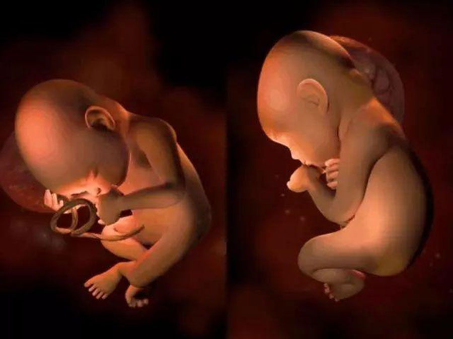 29周胎儿发育指标 第2张-备孕-孕期检查-孕产妇食谱-胎教育儿