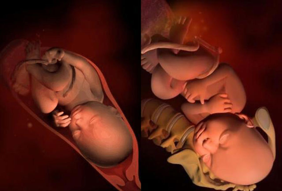 39周胎儿发育指标 第2张-备孕-孕期检查-孕产妇食谱-胎教育儿