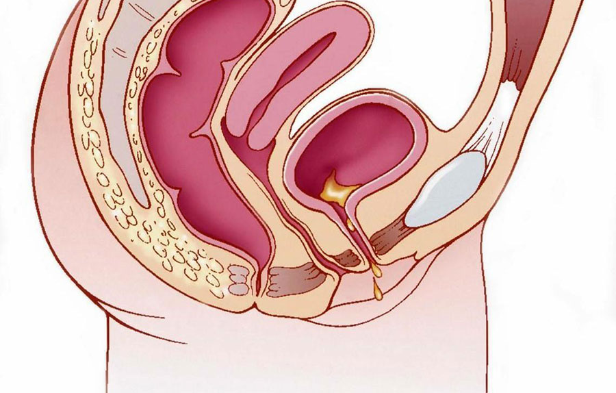 如何判断产后子宫恢复情况 第2张-备孕-孕期检查-孕产妇食谱-胎教育儿
