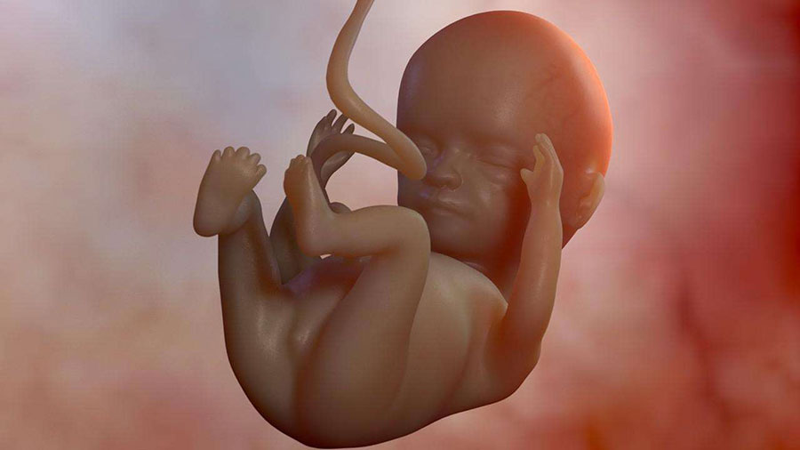 胎儿发育慢是什么原因 第2张-备孕-孕期检查-孕产妇食谱-胎教育儿