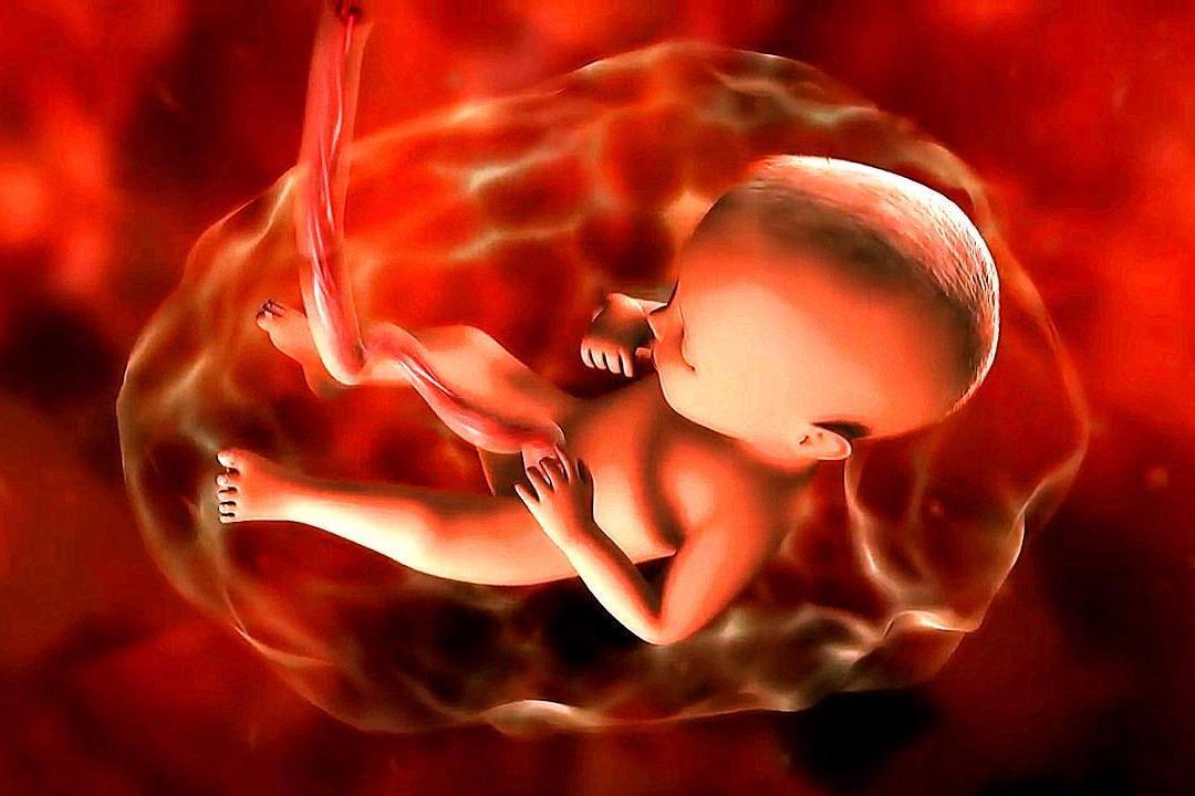 孕中期胎教
