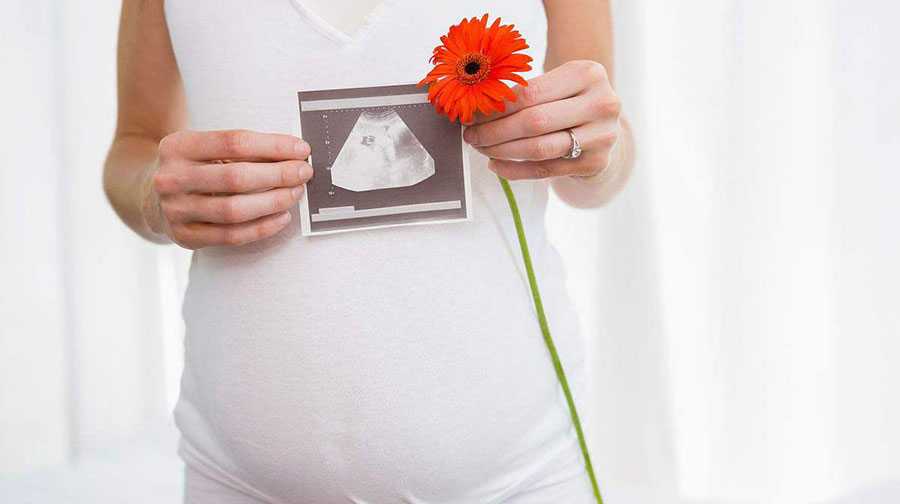 吃什么促进胎儿发育 第2张-备孕-孕期检查-孕产妇食谱-胎教育儿