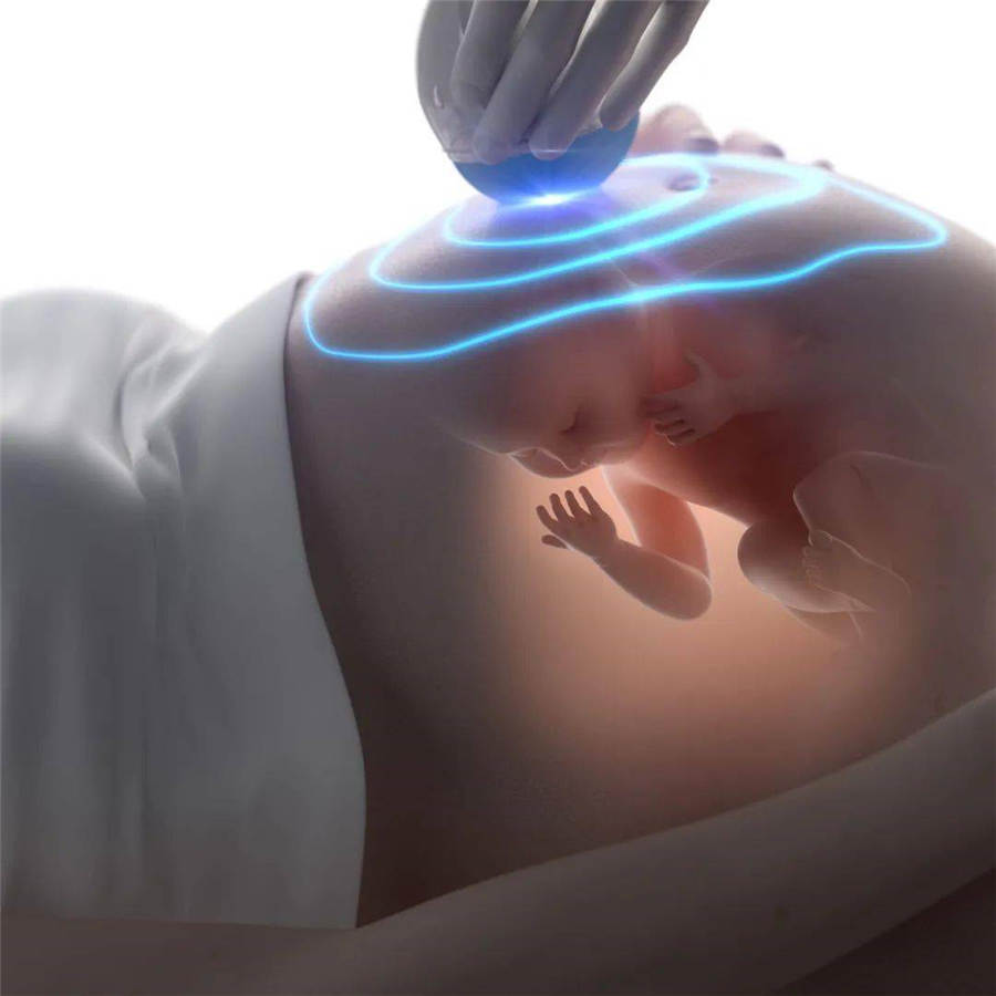 人体生物钟对受孕的影响有哪些