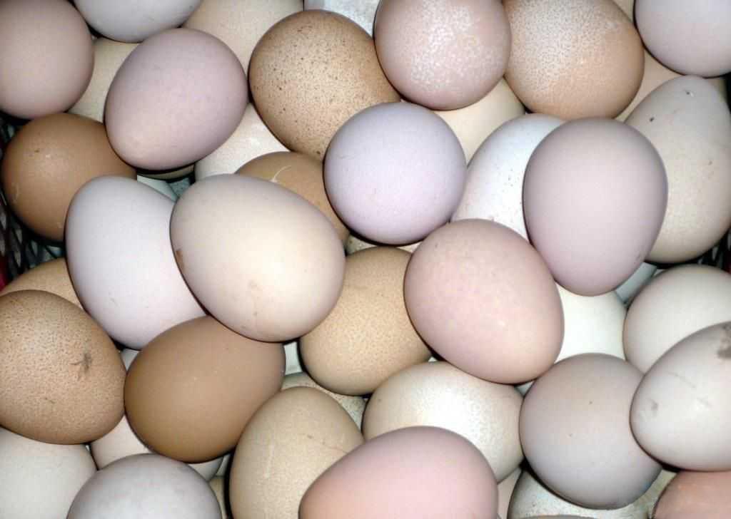 鸡蛋干怎么做好吃