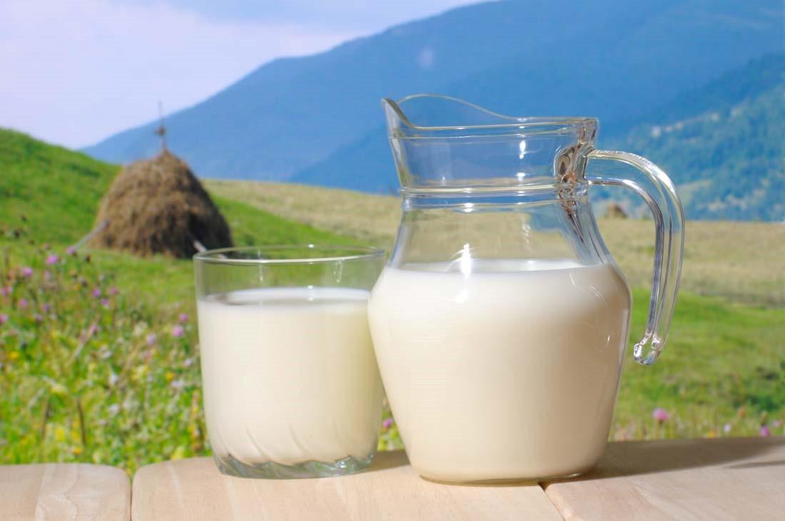 哺乳期能喝酸牛奶吗