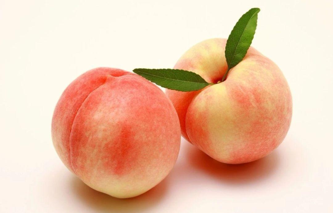 桃子属于热性水果吗