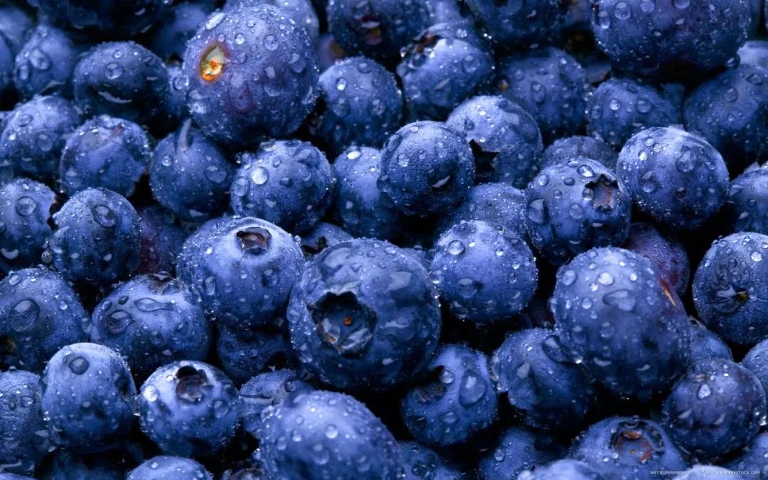 蓝莓干每天吃多少好