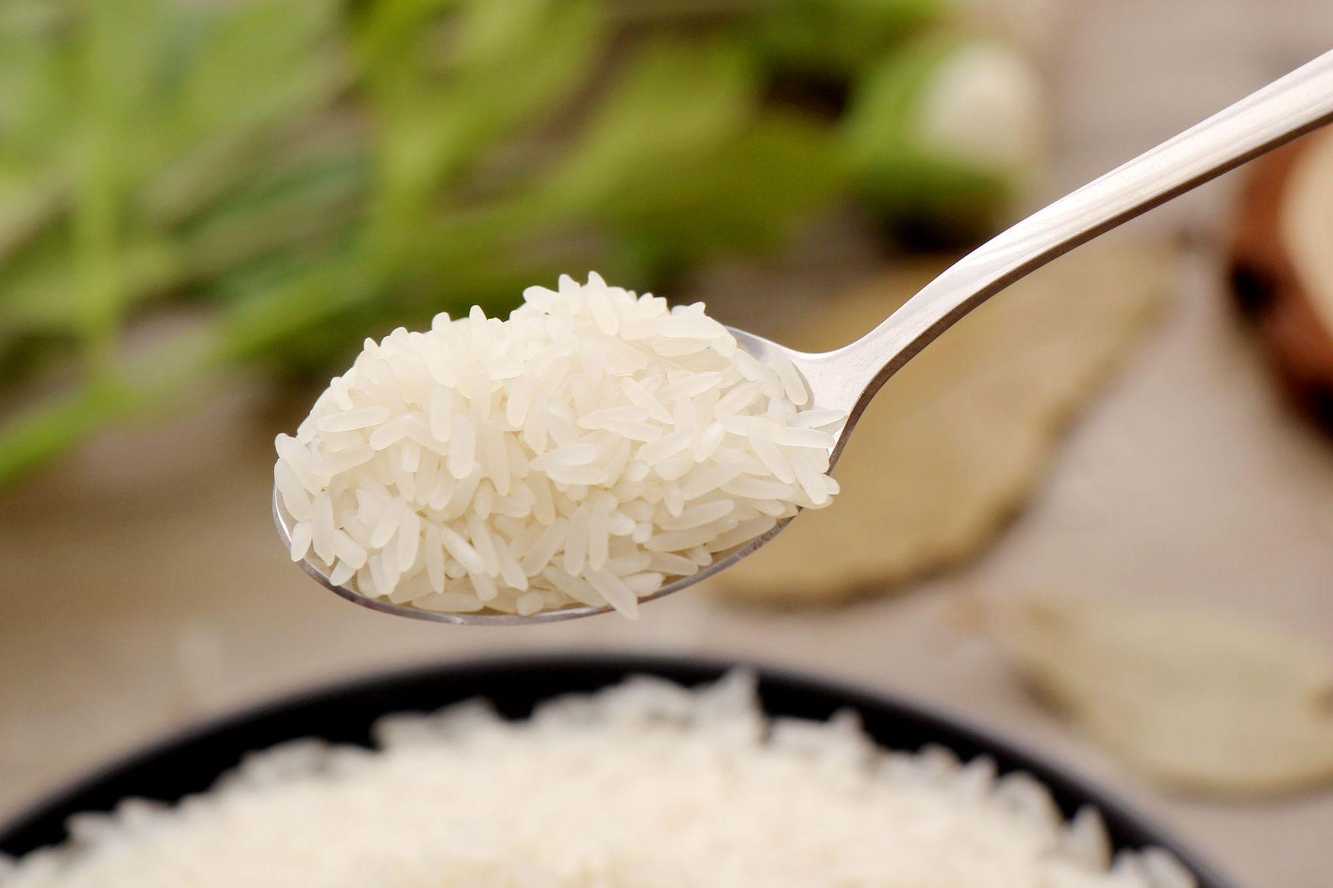 籼米是什么米