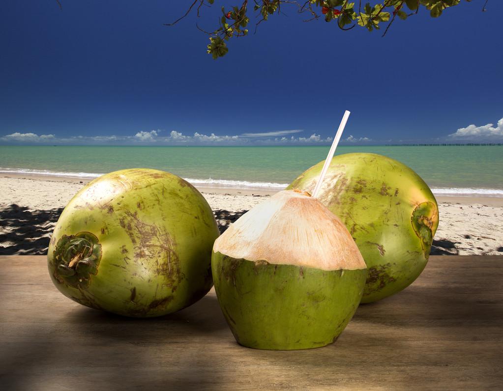 海椰子多少钱